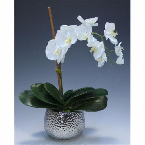 Distinctive Designs 9995 Cream White Phalaenopsis Orchid in Silver Hammered Metal Vase - Neut Perspective: front