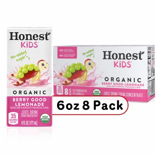Honest Kids Berry Berry Good Lemonade Organic Fruit Juice Perspective: front