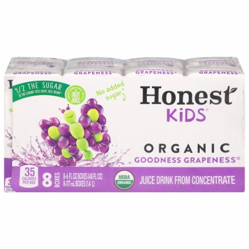 Honest Kids® Organic Goodness Grapeness® Juice Cartons Perspective: front
