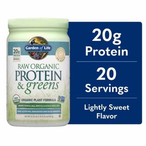 Garden of Life Raw Organic Protein & Greens 20g Vegan Protein + 6 Veggies Vanilla Powder Perspective: front