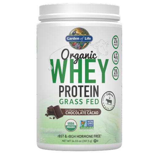 Garden of Life Organic Grassfed Chocolate Cacao Whey Protein Perspective: front