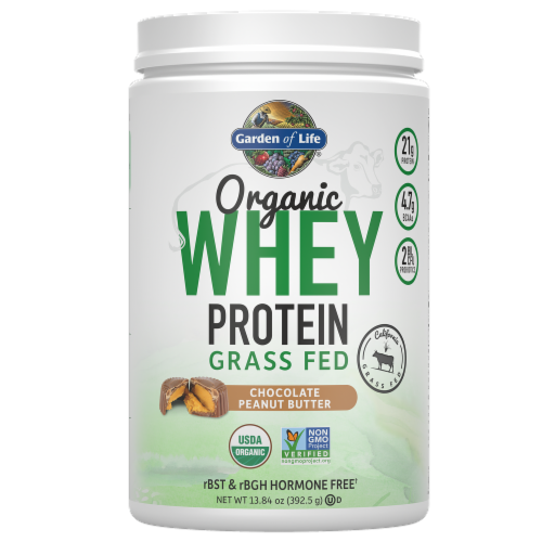 garden of life chocolate protein whey