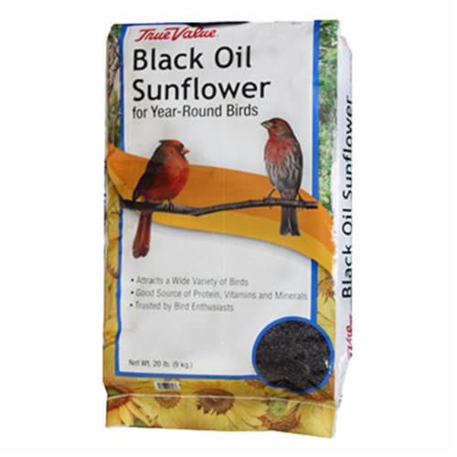 JRK Seed & Turf Supply B200020 20 lbs. Black Oil Sunflower Bird Food Perspective: front