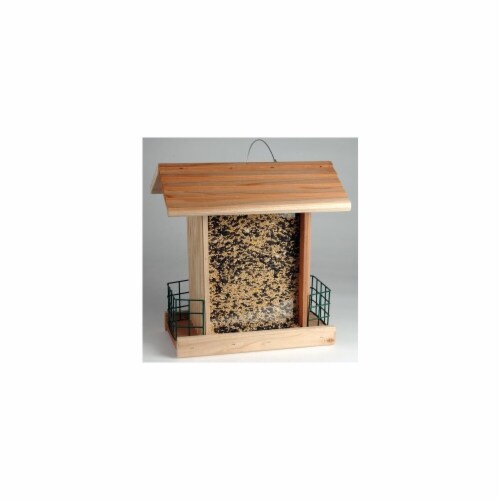 Songbird Seed & Suet Chalet Bird Feeder Perspective: front