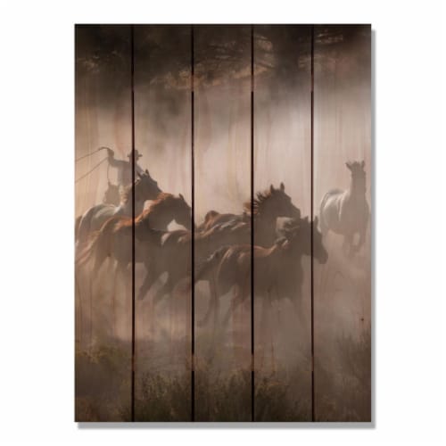Day Dream RH2836 28 x 36 in. Raw Hide Inside & Outside wood Wall Art Perspective: front