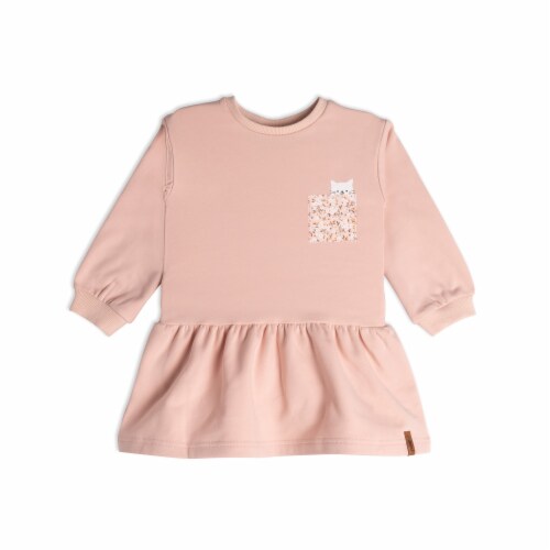 Long Sleeve Fleece Dress Soft Pink Perspective: front