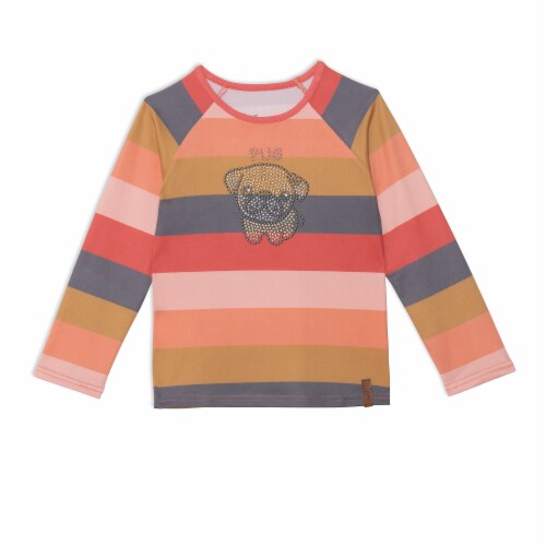 Striped Long Raglan Sleeve Top Perspective: front