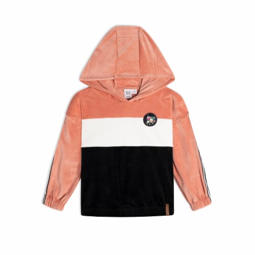Colorblock Velvet Hooded Top Perspective: front
