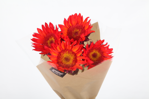 Red Sunflower Bouquet Perspective: front