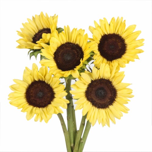 Buttercream Sunflower Bouquet Perspective: front
