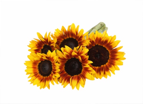 Mahogany Sunflower Bouquet Perspective: front