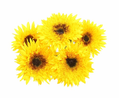 Sunsplash Sunflower Bouquet Perspective: front