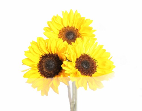 Sunflowers Perspective: front