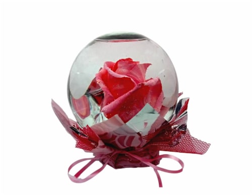 Mother's Day Rose Globe Perspective: front