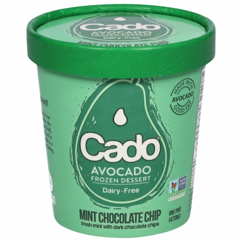 Cado Dairy Free Mint Chocolate Chip Frozen Dessert Pint Perspective: front