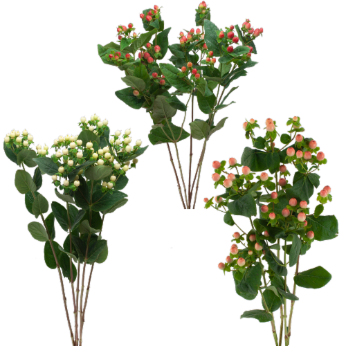 Jolo Flowers Inc Hypericum Perspective: front