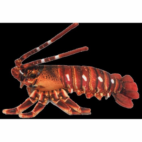 Lobster plush clearance