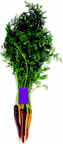 Organic Rainbow Carrots Perspective: front