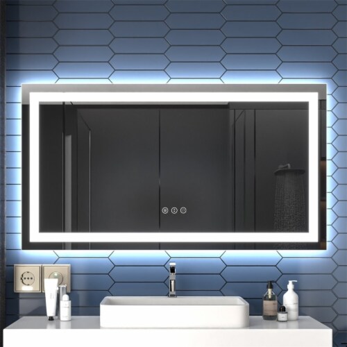 Apex 55 W x 30 H LED Bathroom Light Mirror,Anti Fog,Dimmable,Dual Lighting Mode,Tempered Perspective: front