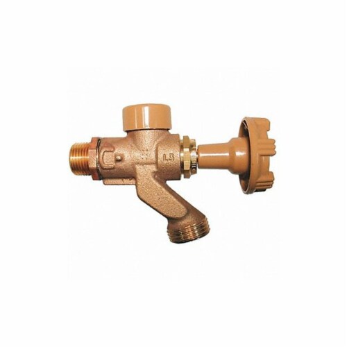 Woodford Manufacturing AntiSiphon Hose Bibb,1/2 In, Brass 101CP, 1