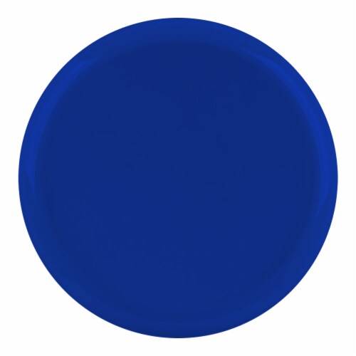 8.5  Light Blue Flat Round Disposable Plastic Appetizer/Salad Plates (120 Plates) Perspective: front