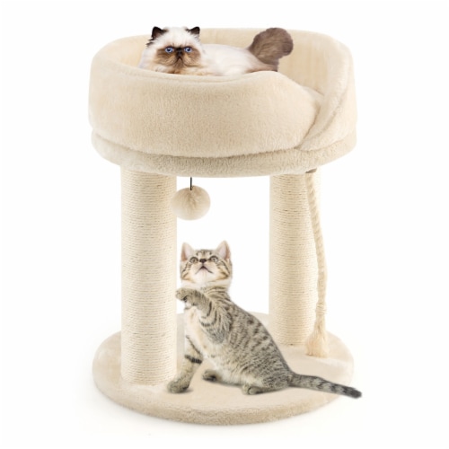 Scratching post deals with perch