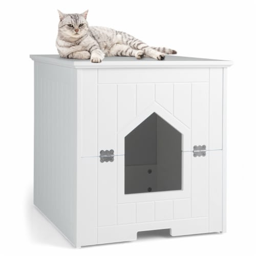 How to get cat to use litter box deals with door