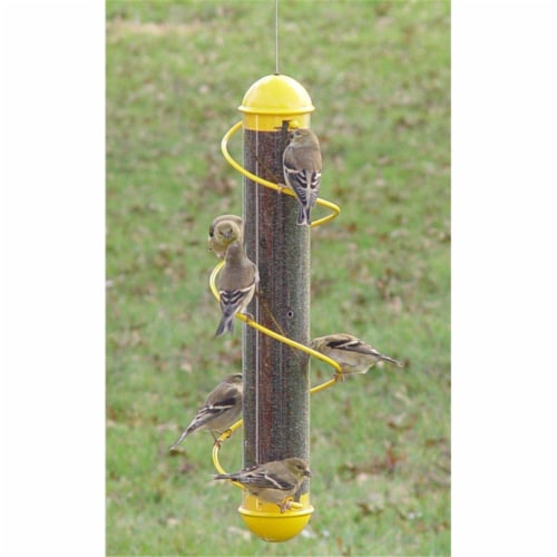 17 Inch Yellow Spiral Finch Tube Feeder Perspective: front