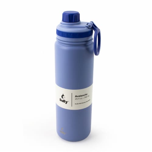 Sully Innovation Stainless Steel Water Bottle - Purple Perspective: front