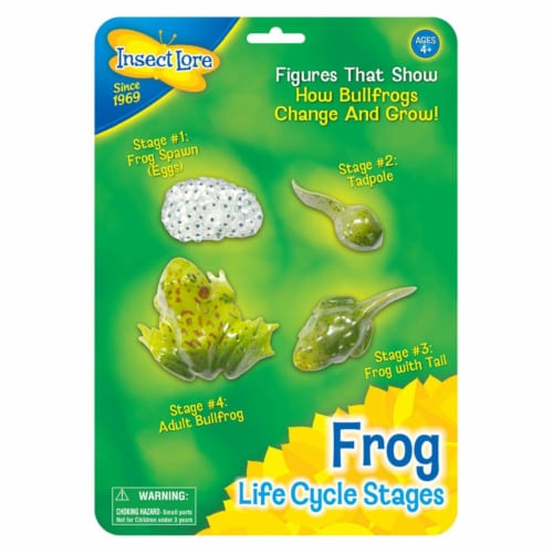 Insect Lore ILP2610BN Frog Life Cycle Stages - Pack of 2 Perspective: front