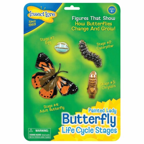 Insect Lore ILP4760BN Butterfly Life Cycle Stages - Pack of 2 Perspective: front