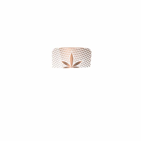 Hempz Glow Getter Herbal Body Moisturizer with Shimmer Perspective: front