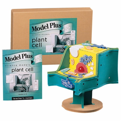 Book Plus 573124 Foam the Plant Cell Model Perspective: front