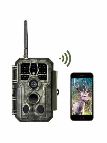 deer video camera