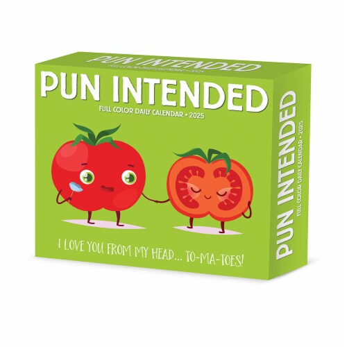 Pun Intended Daily Box Calendar Perspective: front