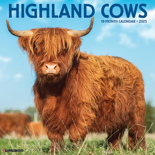 Highland Cows 2025 Wall Calendar Perspective: front