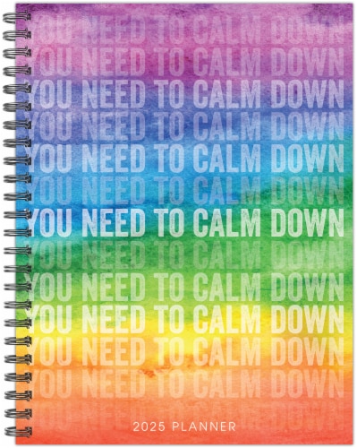 Willow Creek Press You Need to Calm Down 2025 Weekly Planner Perspective: front