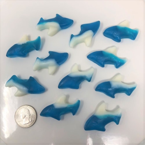 Gummi Sharks 5 pounds Gummy Sharks bulk candy Perspective: front