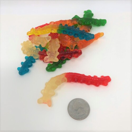 12 Colors / Flavors Gummy Bears by the pound or in bulk