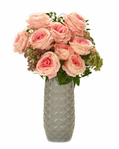 The Amaranth Vase - 10  Smarter Vase for Floral Care in Cool Grey Diamond Perspective: front