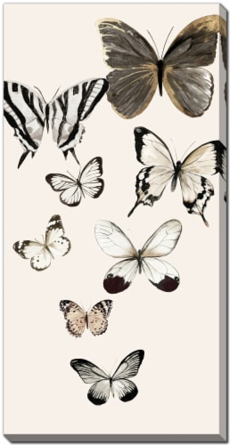 Butterflies Printed Canvas Wall Art Perspective: front