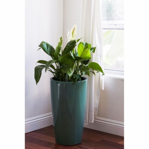 X-Brand PL3448TUR 17 in. Tall Nested Plastic Self Watering Indoor Outdoor Round Planter Pot w Perspective: front