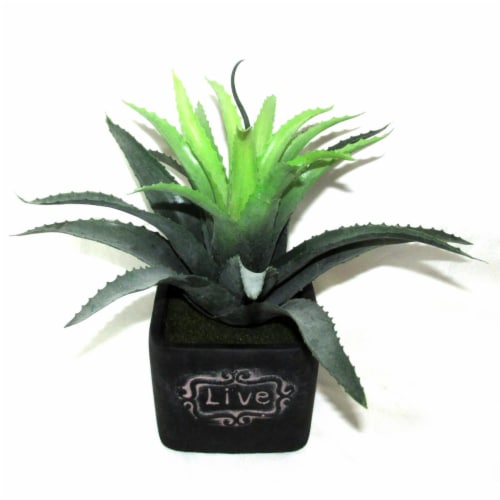 Jeco HD-BT012 11 in. Artifical Succulent Garden Perspective: front