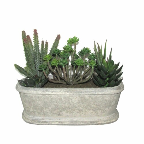 Jeco HD-BT028 7.5 in. Artifical Succulent Garden Perspective: front