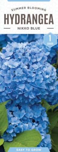 The Joy of Gardening Nikko Hydrangea Seeds - Blue Perspective: front