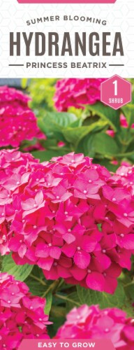The Joy of Gardening Princess Beatrix Hydrangea Seeds Perspective: front