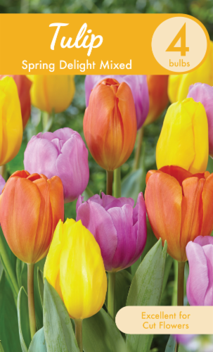 Garden State Bulb Spring Delight Mixed Tulip Bulbs Perspective: front