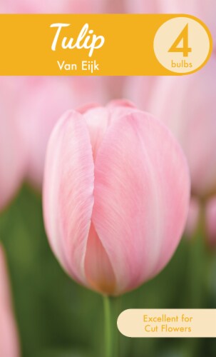 Garden State Bulb Van Eijk Tulip Bulbs Perspective: front