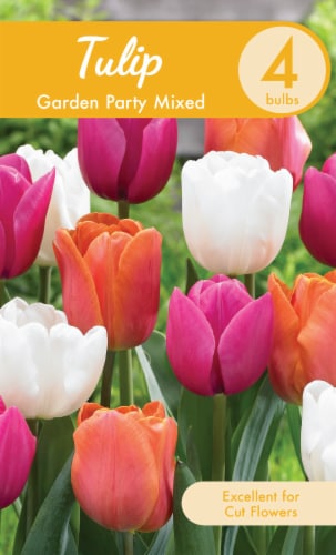Garden State Bulb Garden Party Mixed Tulip Bulbs Perspective: front