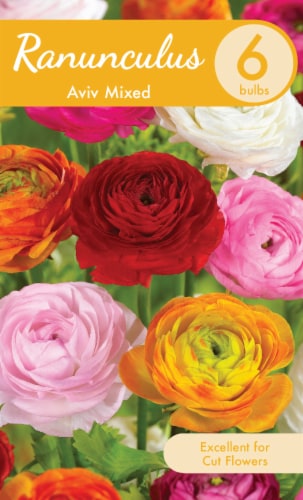 Garden State Bulb Aviv Mixed Ranunculus Bulbs Perspective: front